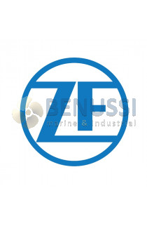 Anello seeger distributore ZF